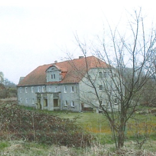 Zdjęcie nr 5